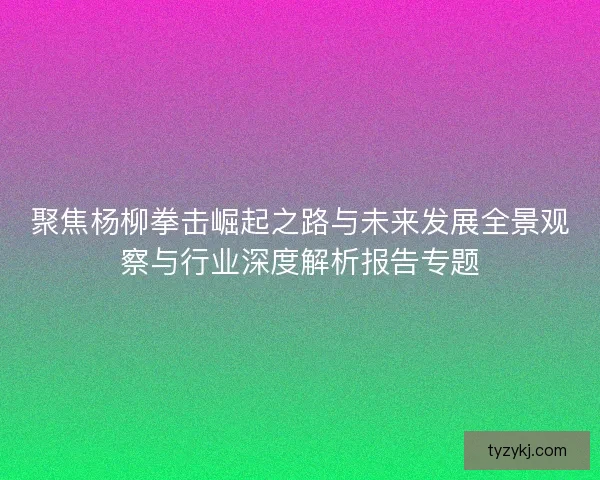 聚焦杨柳拳击崛起之路与未来发展全景观察与行业深度解析报告专题