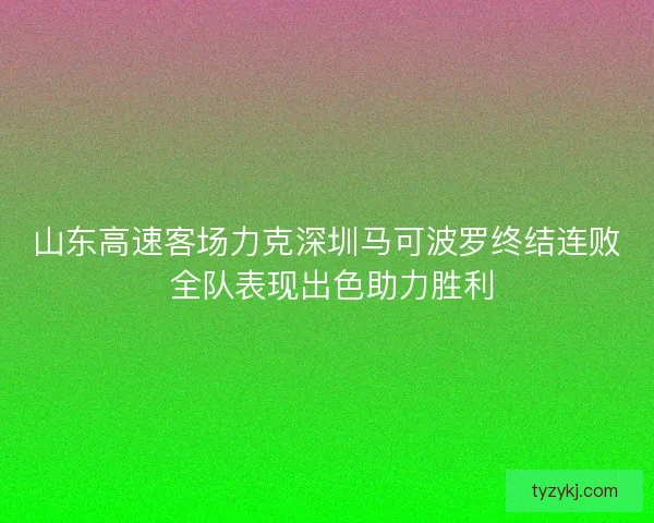 山东高速客场力克深圳马可波罗终结连败 全队表现出色助力胜利